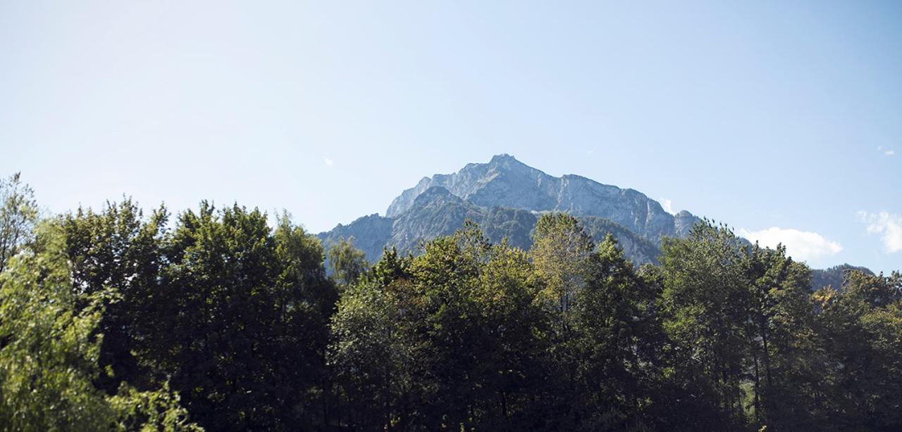 Essigmanngut 3* Anif